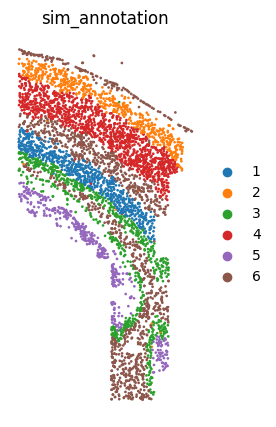 osmFISH_simulated_annotation