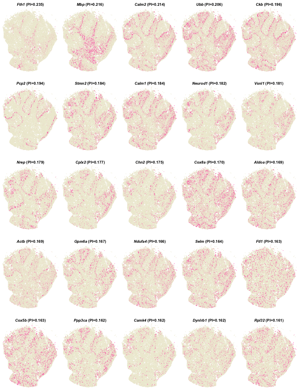 slide_seq_PI